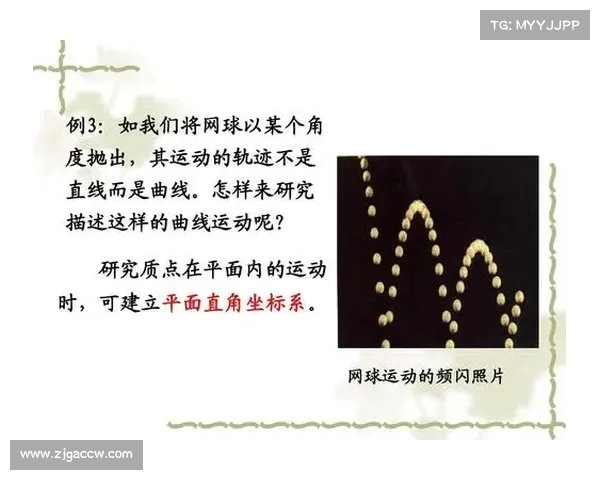 网球比赛队员名单及其阵容分析与比赛策略探讨 网球比赛队员名单及其阵容分析与比赛策略探讨
